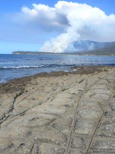 Tasman NP CFS