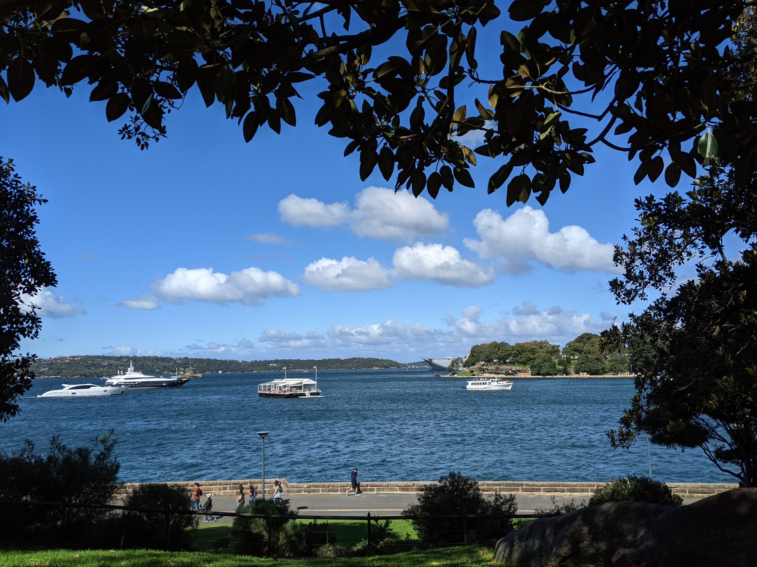 Vista across Port Jackson from Sydney's Botanical Gardens